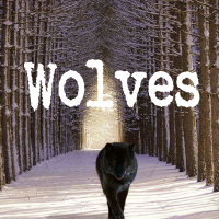 Wolves - Instrumental W/ Backing Vocals cover
